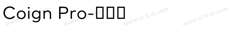 Coign Pro字体转换